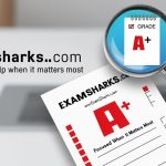 University student preparing for an online test — trusted exam support from ExamSharks.com